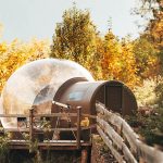maso_featured