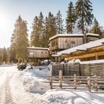 caravan_park_treehouse_2