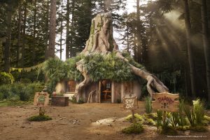 shrek_swamp_airbnb_7
