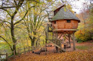 consulenza_treehouse_2