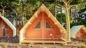 LAVITA_Camp_5