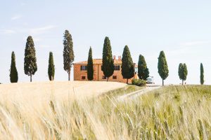 tuscany_countryside