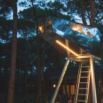 TreeShip_ClubdelSole_10