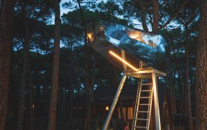 TreeShip_ClubdelSole_10