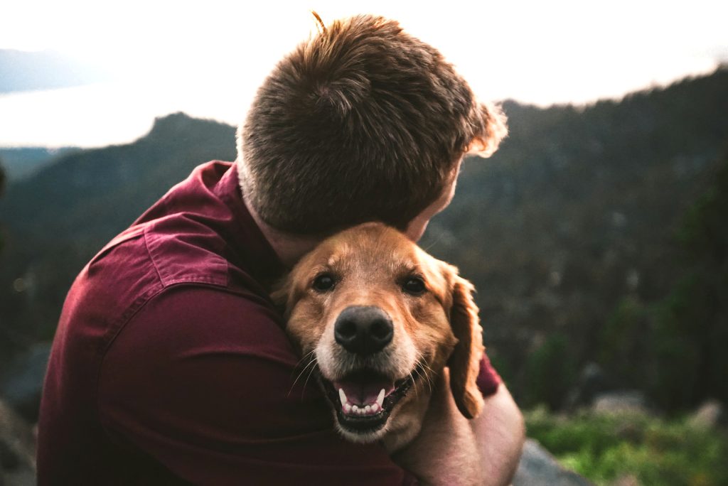 pet_friendly_2