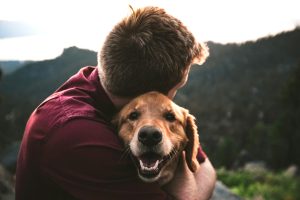 pet_friendly_2