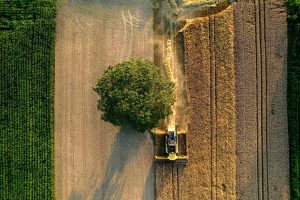 agricultura_liguria