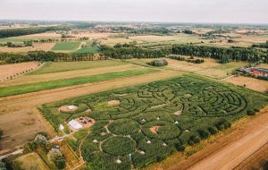 Maïsterplan – un glamping magico tra i corn circles nelle Fiandre
