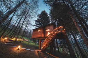 Monviso casa sull'albero in Astana