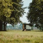 tiny house in zona parco