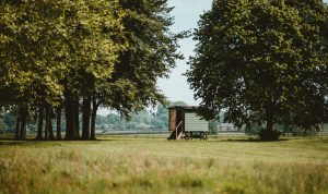 tiny house in zona parco